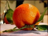 Pomarańcze  Valencia