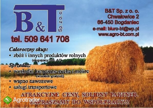 B&T kupi/ zakontraktuje kukurydzę mokrą
