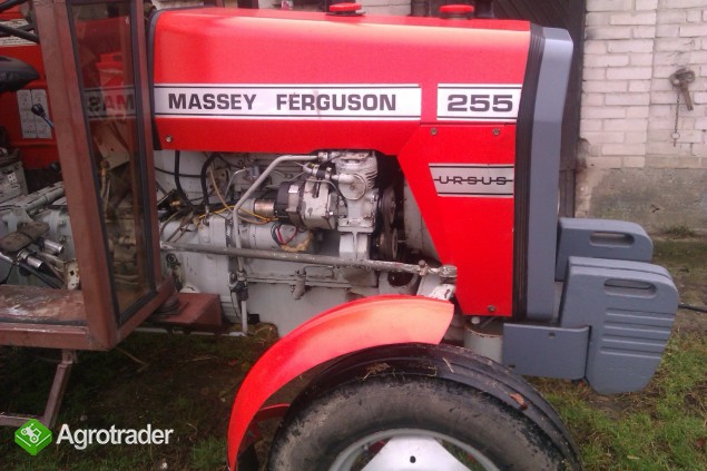 Massey Ferguson 255 - 1987 - zdjęcie 3