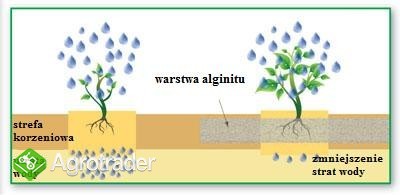 Alginit - nawóz do upraw ekologicznych 30 kg