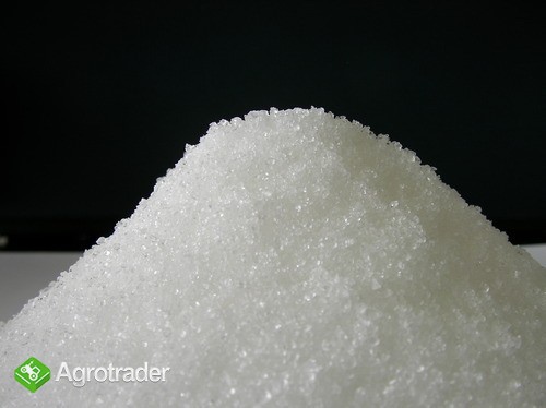  Rafinowany cukier buraczany