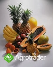 Frucht/Gemüse-handeln Firma zu verkaufen in Mittel