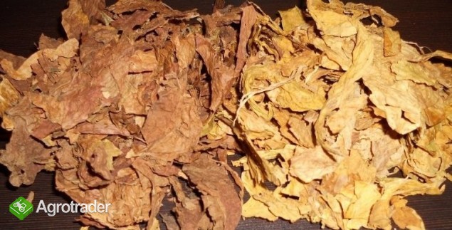 Strips barley blend mix żyła bułgaria