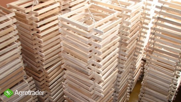 ODKŁADY PSZCZELE 2014 - zdjęcie 2