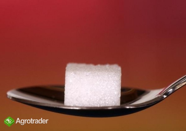 Sprzedam realny cukier buraczany.