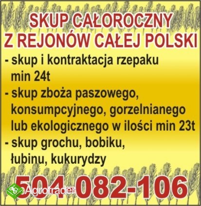 Kontraktujemy zboża 2012 - jęczmień.