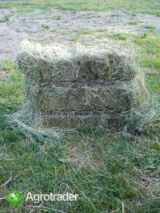 Siano w kostkach 2013 i słoma