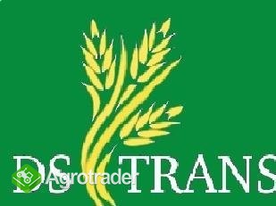 Sprzedam pszenicę paszową !