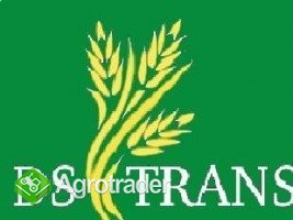 DS-TRANS sprzeda pszenżyto