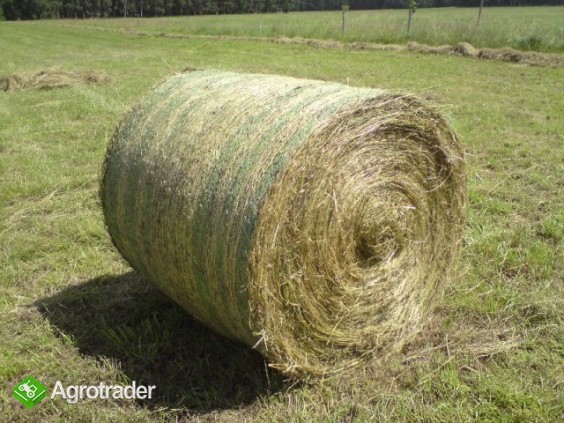 Sprzedam siano baloty 120x120