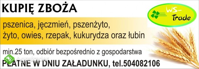 kupię rzepak