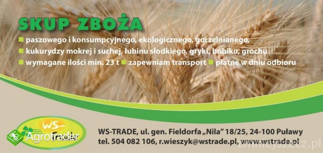 kupię owies- skup owsa