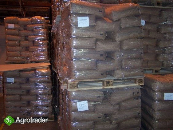 CUKIER SPRZEDAM - zdjęcie 1