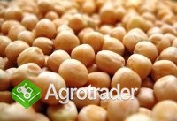 Cereals from Ukraine - zdjęcie 2