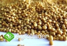 Cereals from Ukraine